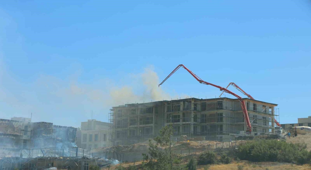 Orman Bölge Müdürlüğü alanındaki yangınlar söndürüldü