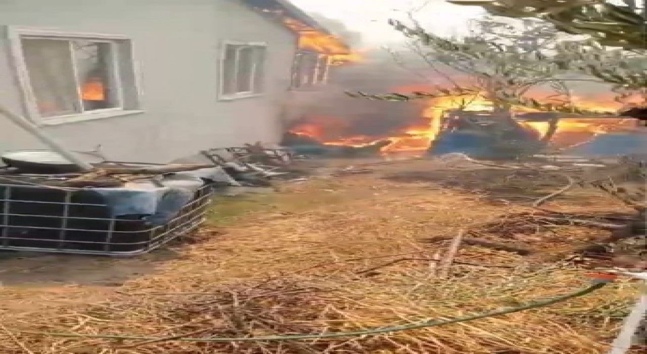 Orman yangını köye indi: Kaç, artık hiçbir şey yapamayız