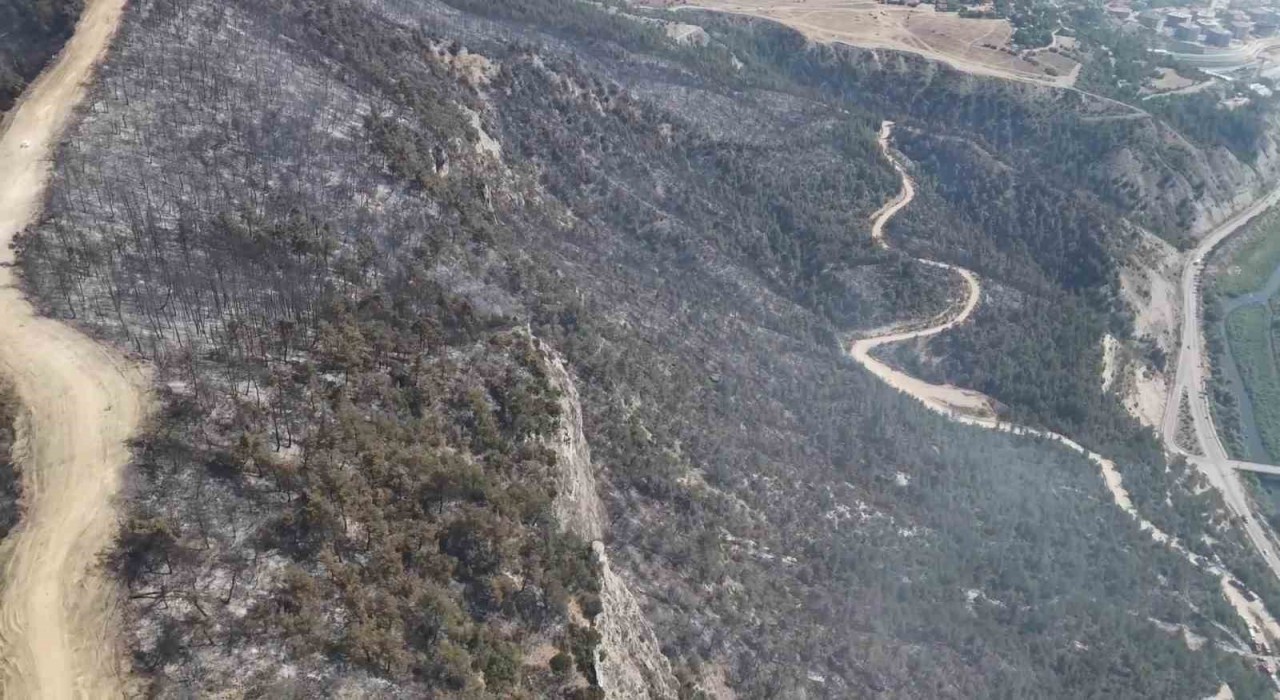 Orman yangınında zarar gören alanlar dronla görüntülendi