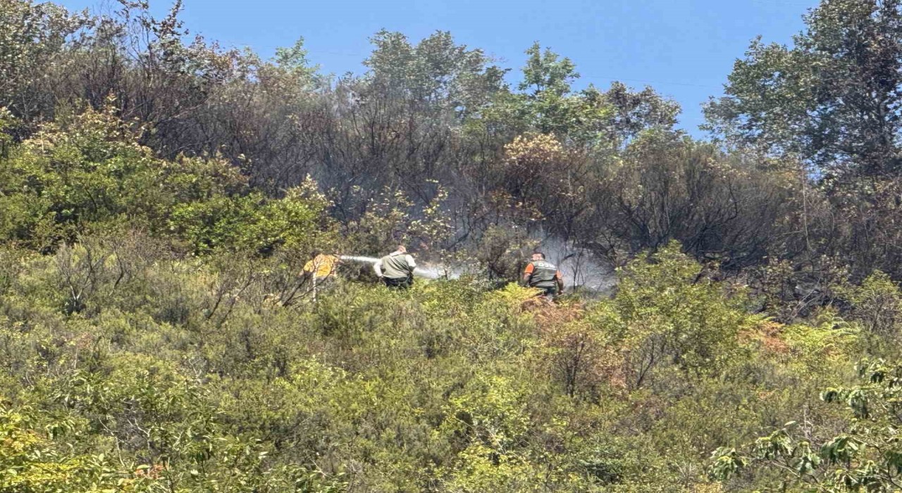 Ormanlık alanda çıkan yangın 2 saatte söndürüldü