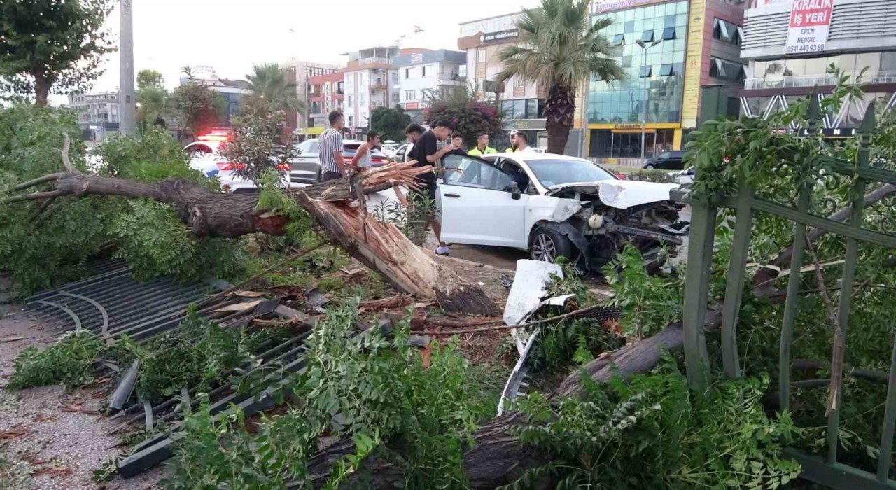 Ortalığın savaş alanına döndüğü kazada kimsenin burnu bile kanamadı