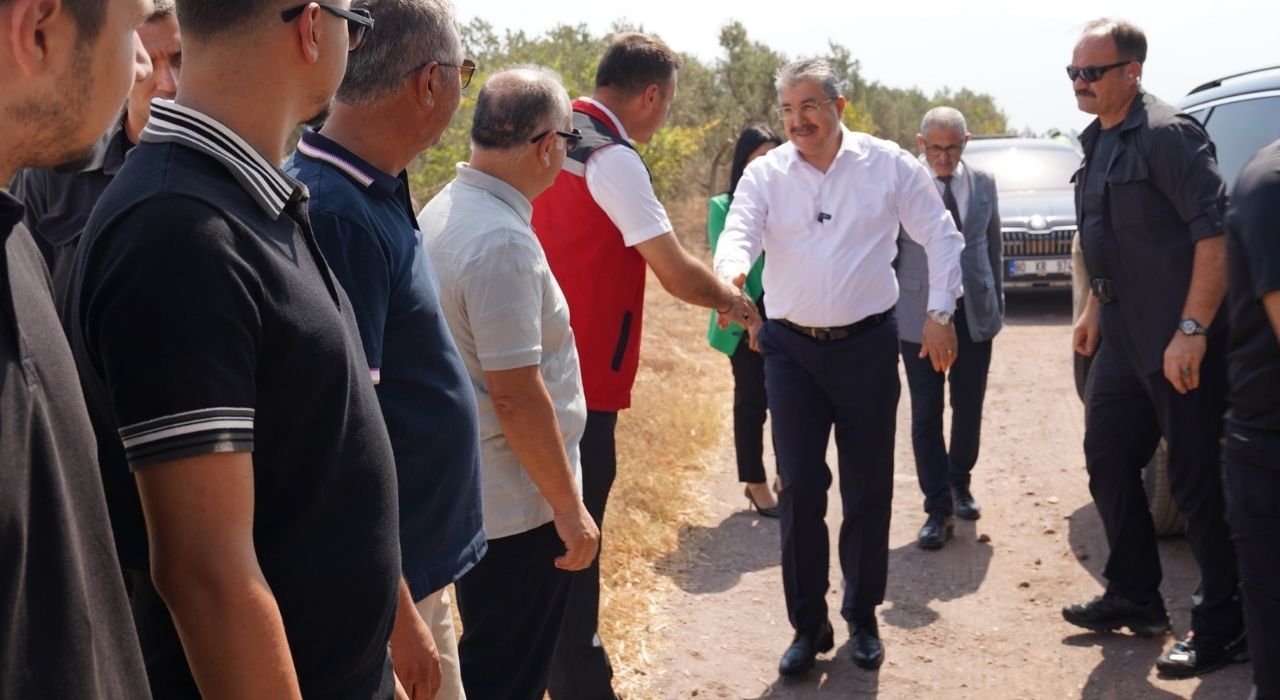 Osmaniye Merkez’de Mısır Hasadı Töreni Gerçekleştirildi