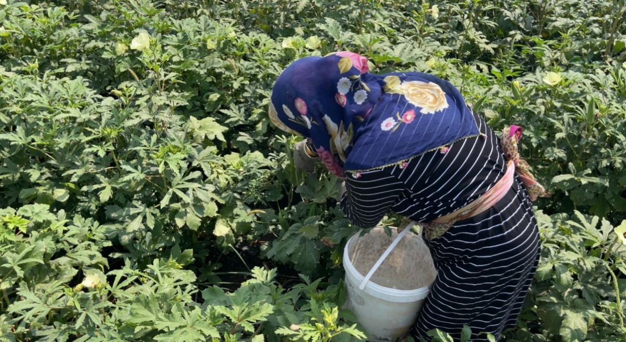 Osmaniyede doğa ve hayvan sevgisi aynı toprakta filizleniyor