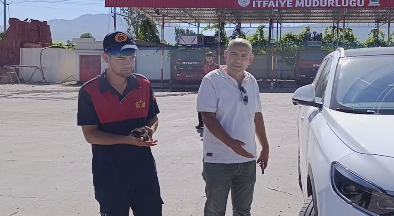 Osmaniye’de Duyarlı Vatandaş 5 Yavru Kediyi Motor Bölmesinden Kurtardı