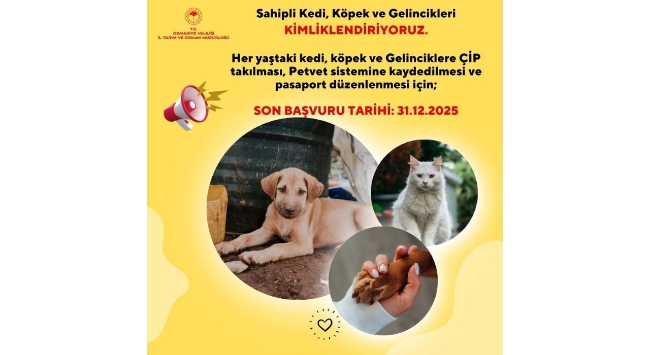 Osmaniye’de Kedi, Köpek ve Gelinciklere Çip Zorunluluğu