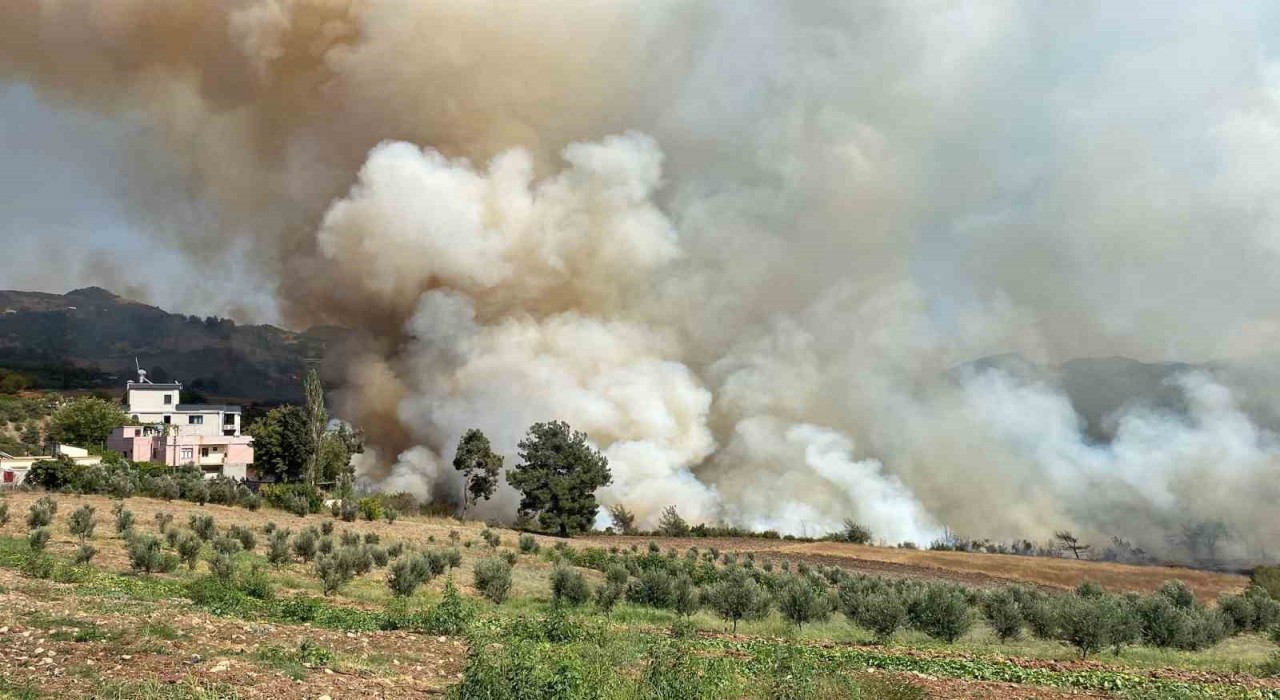 Osmaniyede ormanlık alanda yangın çıktı