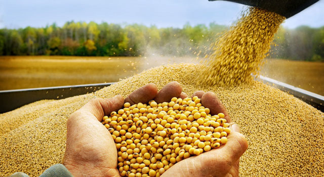 Osmaniye’de Soya Eken Çiftçiye Destek Ödemesi Müjdesi