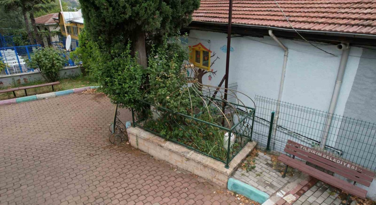 Osmanlının önemli aliminin kabri, yalnızlığa terk edildi