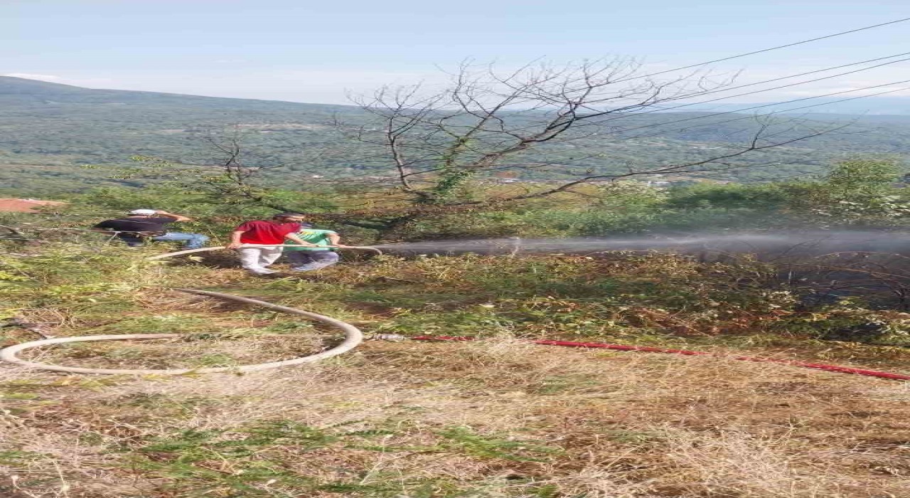 Otluk alanda çıkan yangın evlere ve ormanlık alana sıçramadan söndürüldü