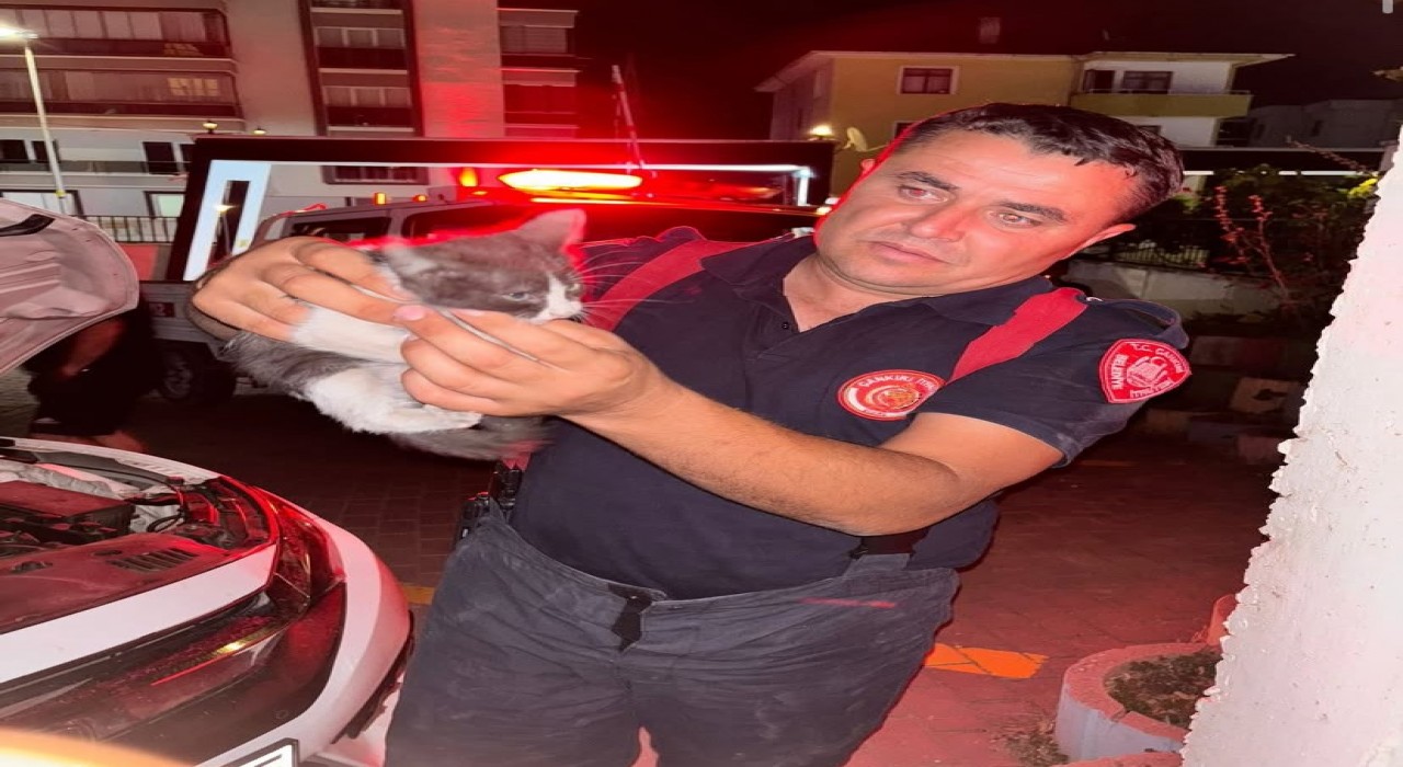 Otomobilin motor kısmına girerek sıkışan yavru kedi ekipleri seferber etti