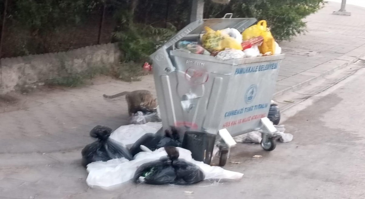 Pamukkalede çöp dağları