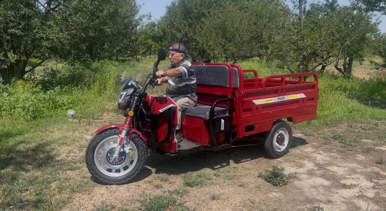 Patpatların tahtını elektrik çarptı