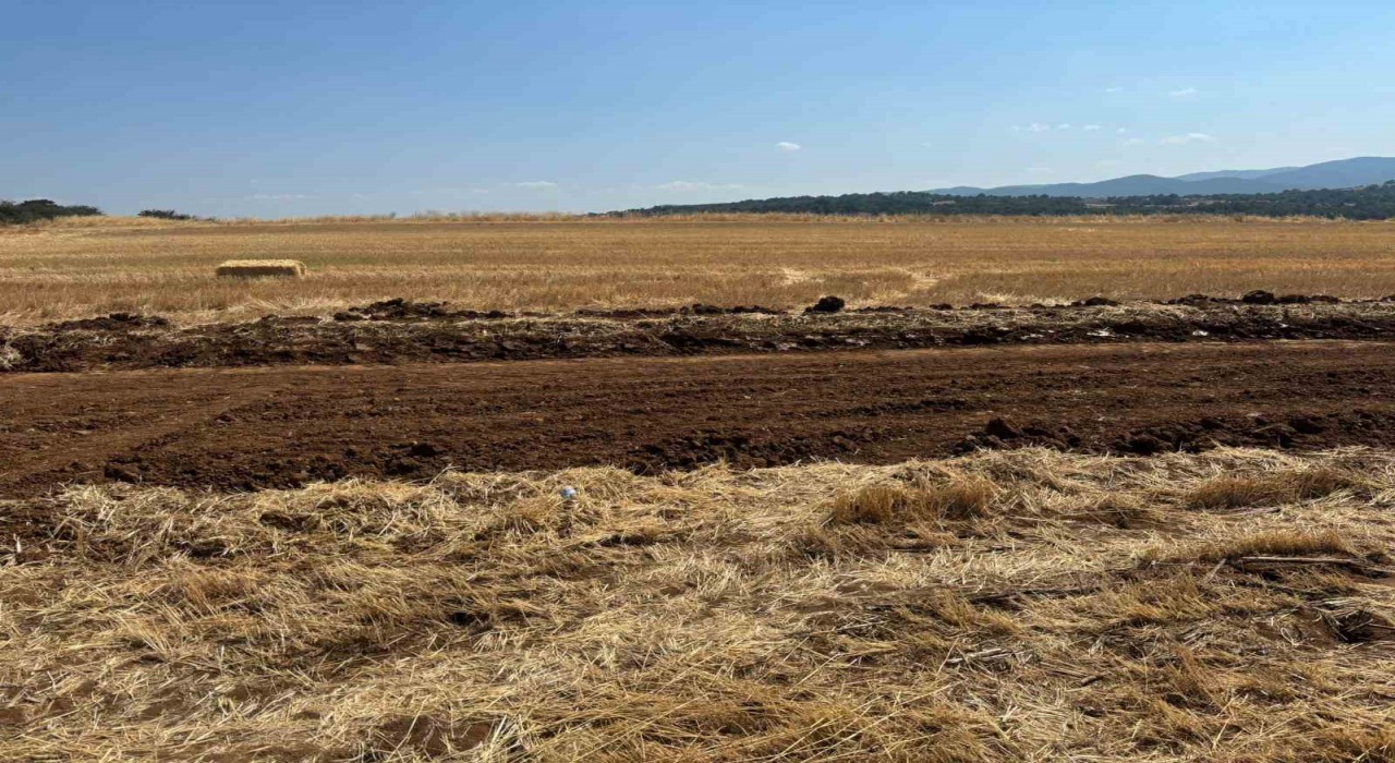 Pazaryerine dev yatırım