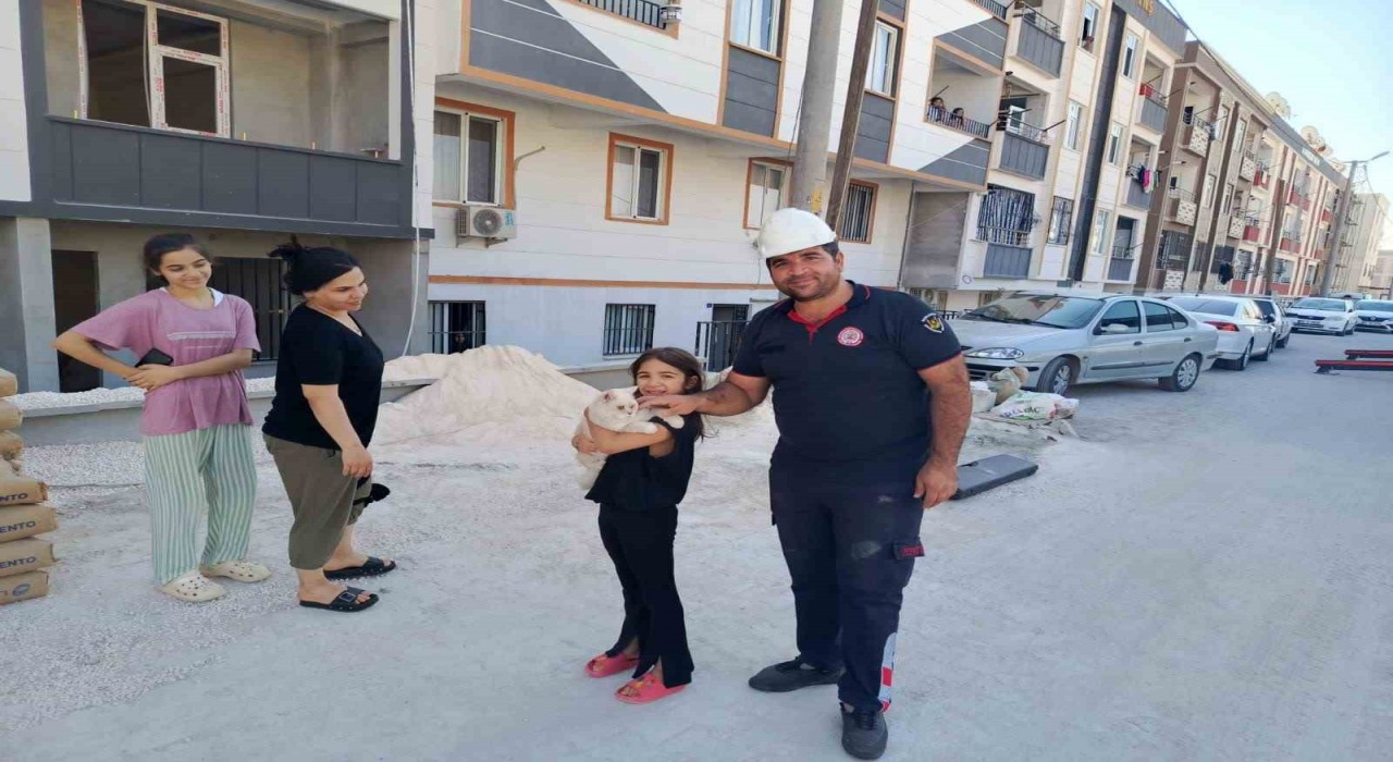 Pencerede mahsur kalan kediyi itfaiye kurtardı