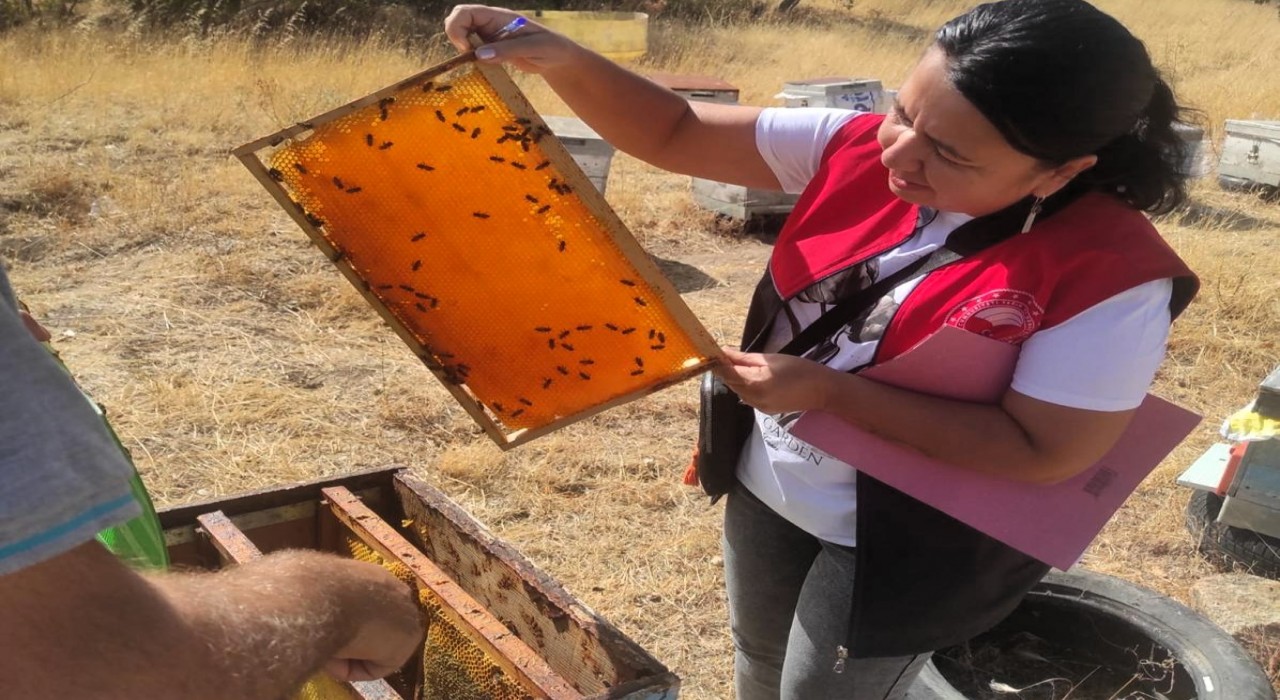 Pınarhisarda arılı kovan tespit çalışması yapıldı