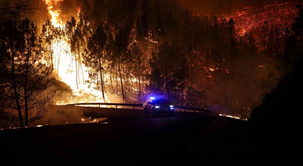 Portekizde orman yangınında ölü sayısı 3e yükseldi