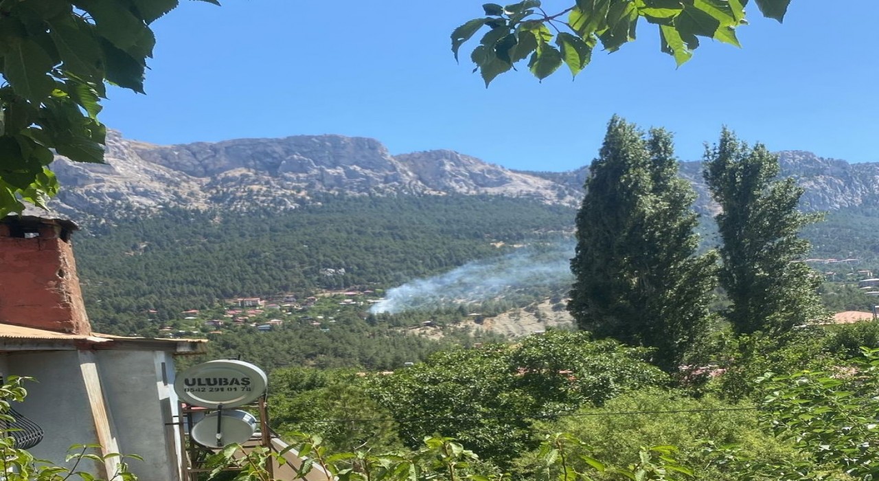 Pozantıda çıkan orman yangını kontrol altına alındı