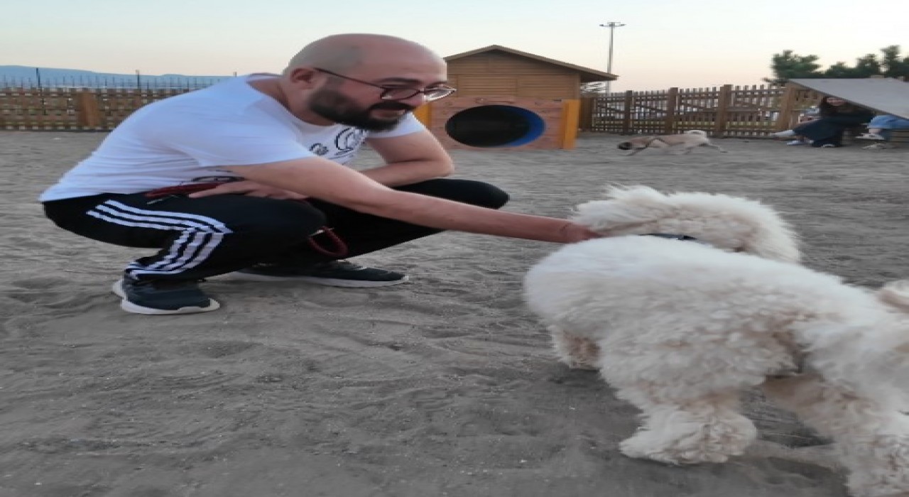 Proteo Köpek Eğitim Parkuruna tam not