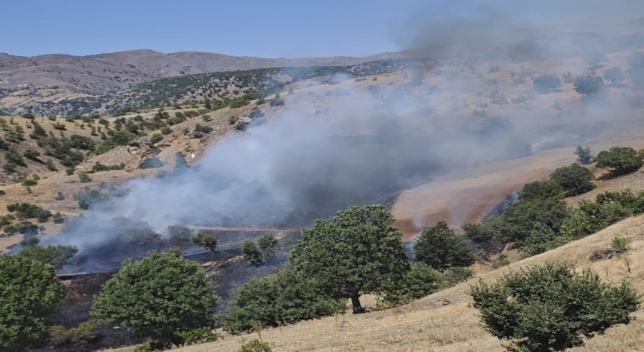 Pütürgede orman yangını