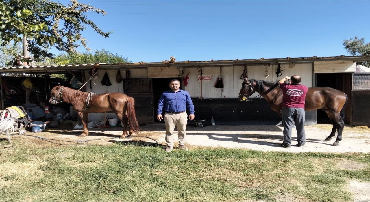 Rahvan atlarına sağlık taraması