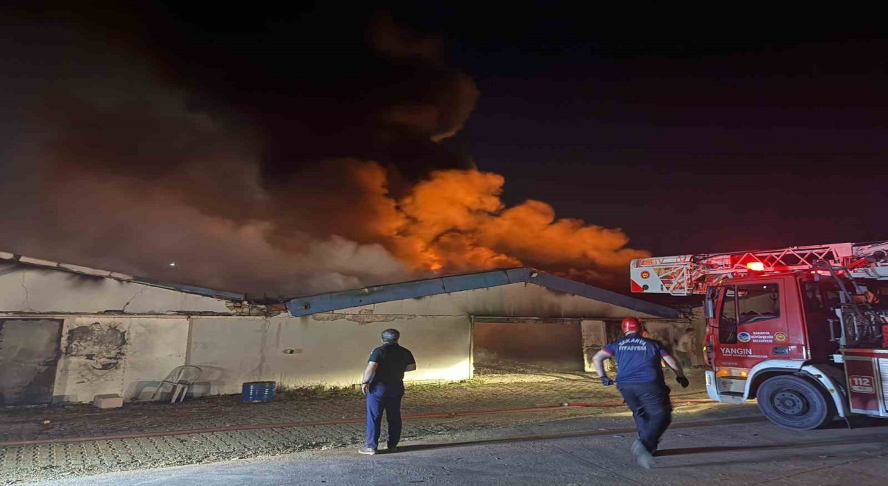 Sakaryada boya fabrikasında yangın