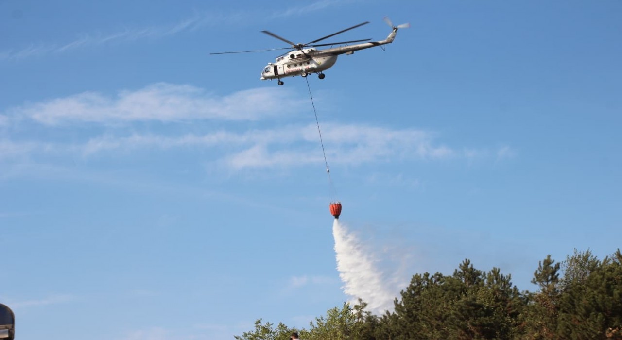Sakaryadaki orman yangını kontrol altına alındı
