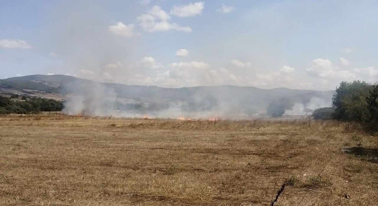 Samsunda anız yangını ormana sıçramadan söndürüldü