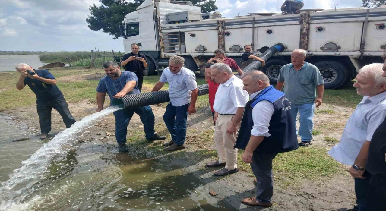 Samsunda yaklaşık 2,5 milyon sazan su kaynaklarına bırakıldı