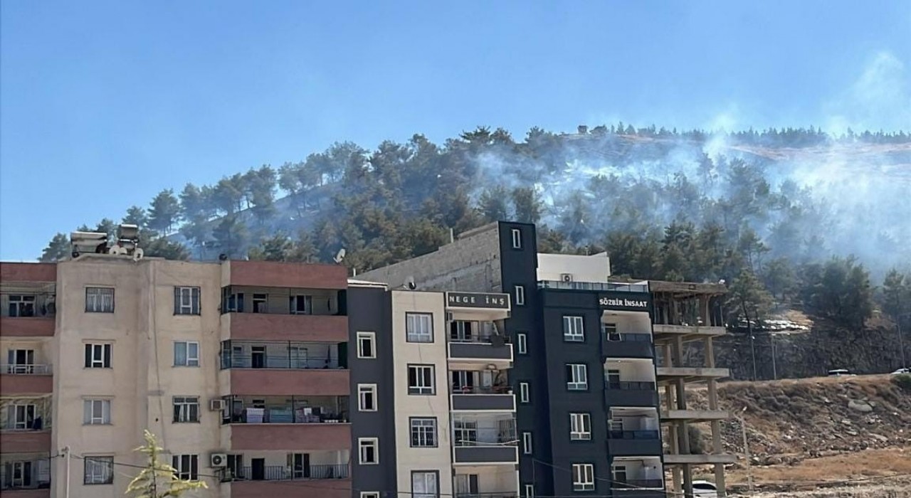 Şanlıurfada ağaçlık alanda çıkan yangın söndürüldü