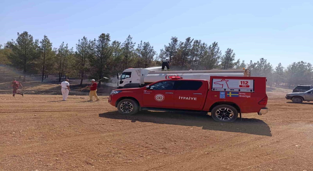 Şanlıurfada orman yangını