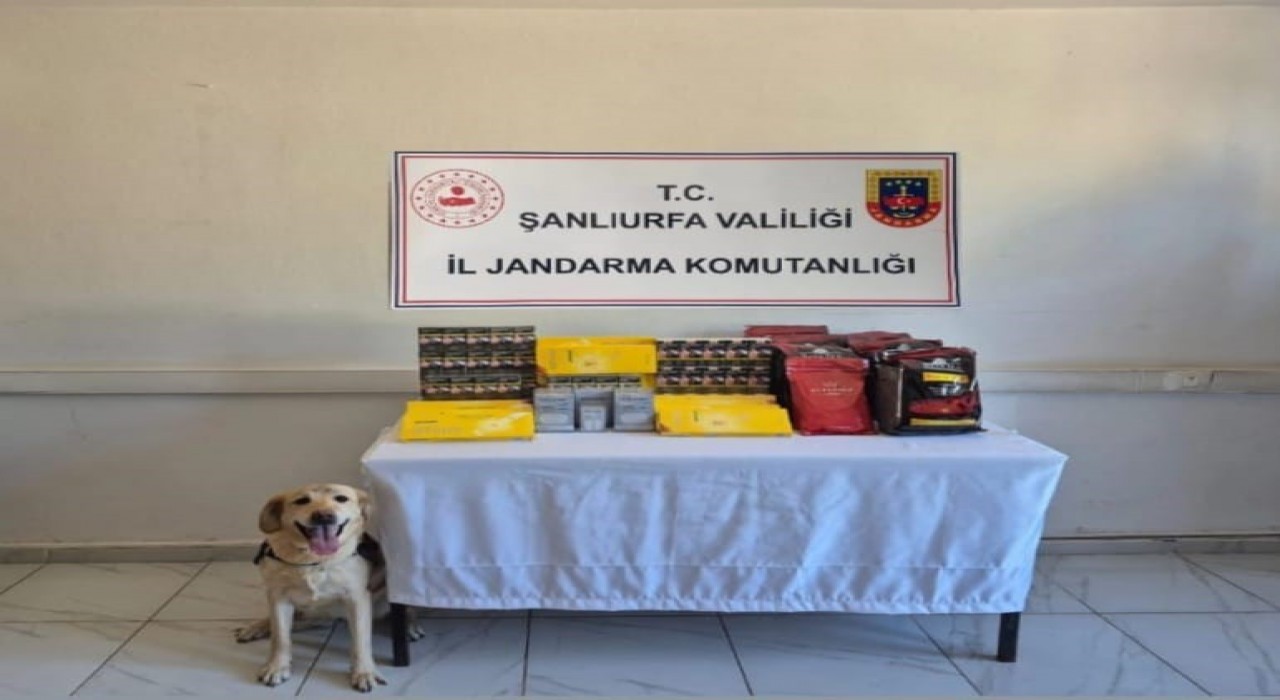 Şanlıurfada uyuşturucu operasyonu: 6 gözaltı