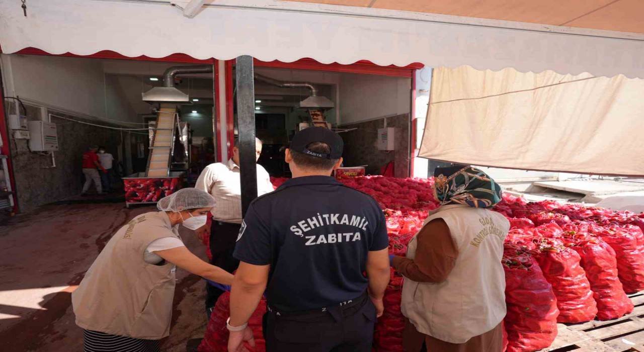 Şehitkamilden salça denetimi