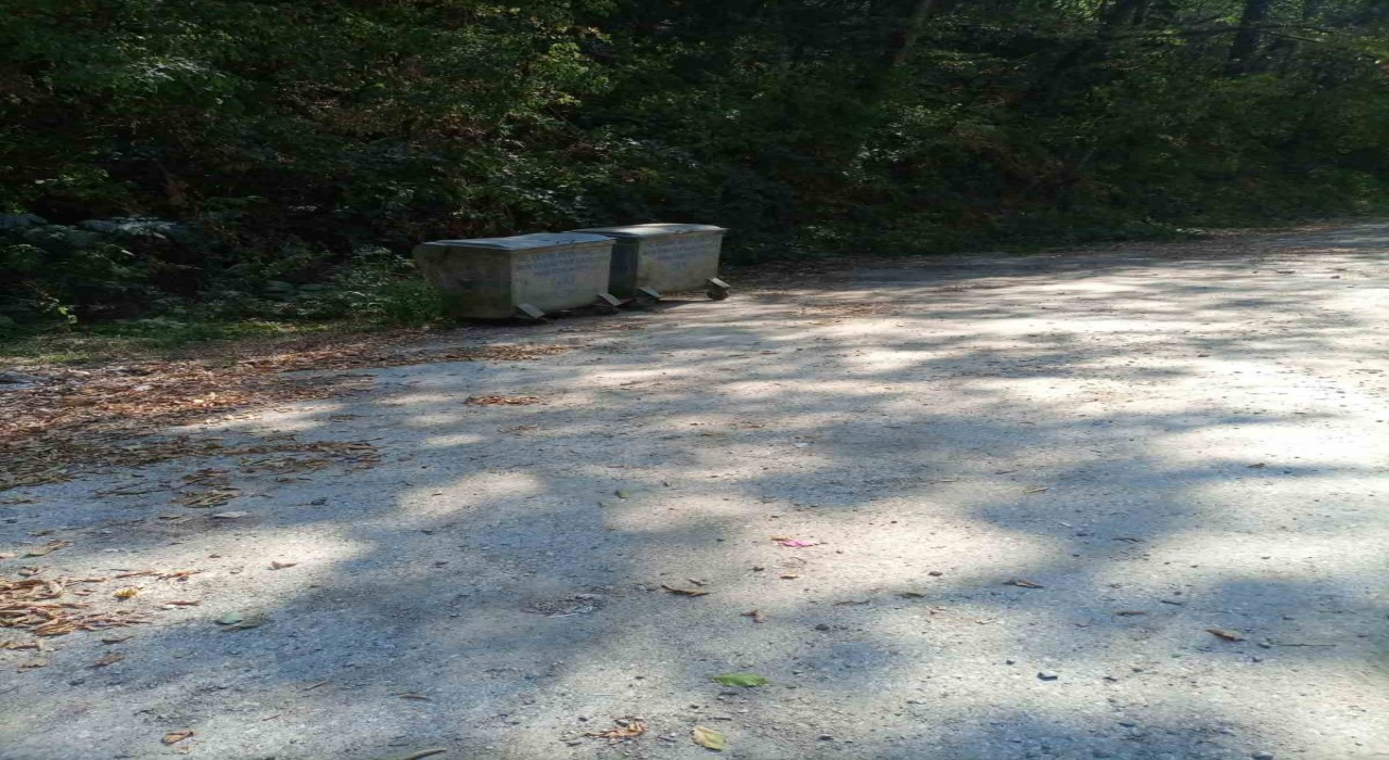 Şeker Kanyonundaki çevre kirliliği giderildi