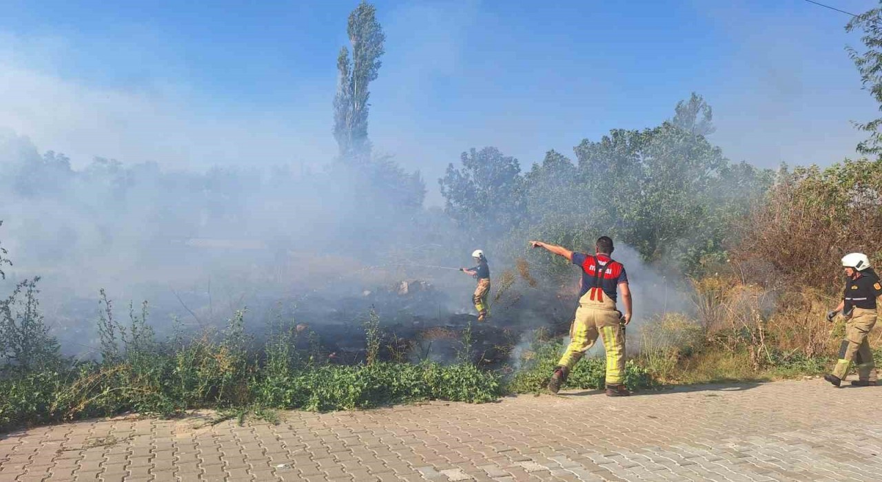 Selçukta sazlık alanda yangın paniği
