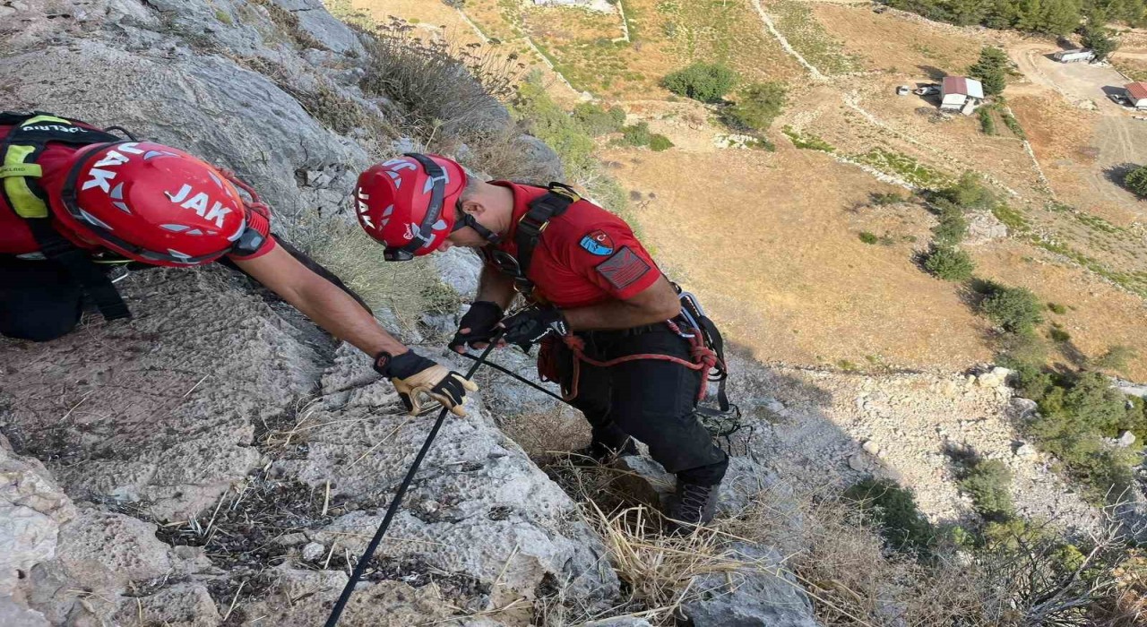 Serikte uçurumda 3 gündür mahsur kalan keçi, ekipler tarafından kurtarıldı
