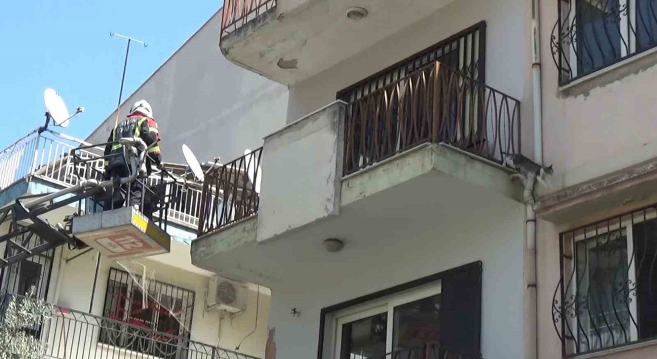 Sevimli kediyi kurtarmak için tüm ekipler seferber oldu, o kurtarılacağı anda atlayıp gitti