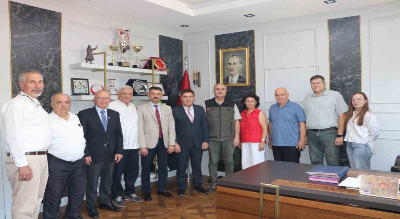 Seyitgazide yanan ormanların yerine yeniden ağaçlandırma çalışmaları yapılacak