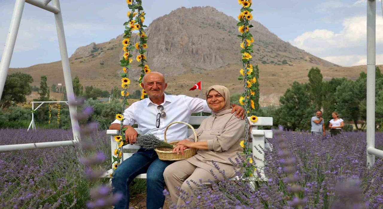 Âşık olduğu dağın eteğine lavanta bahçesi kurdu, kartpostallık görüntüler oluştu
