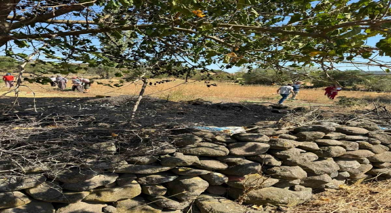 Sındırgıda ot yangını bahçedeki yapıya sıçradı