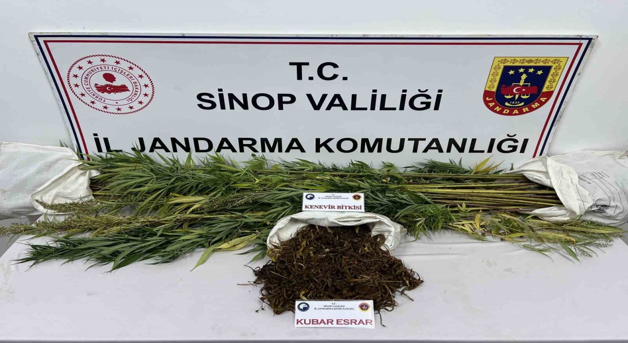 Sinopta 425 gram kubar esrar ve 56 kök kenevir bitkisi ele geçirildi