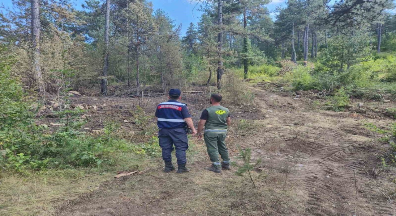 Sinopta jandarma orman yangınlarına karşı teyakkuzda