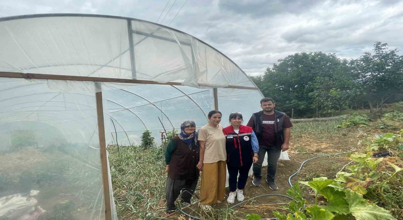 Sinopta modern seralar faaliyete geçti