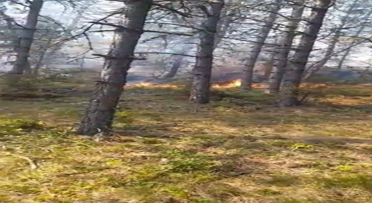 Sinopta orman yangını: Köy tahliye edildi