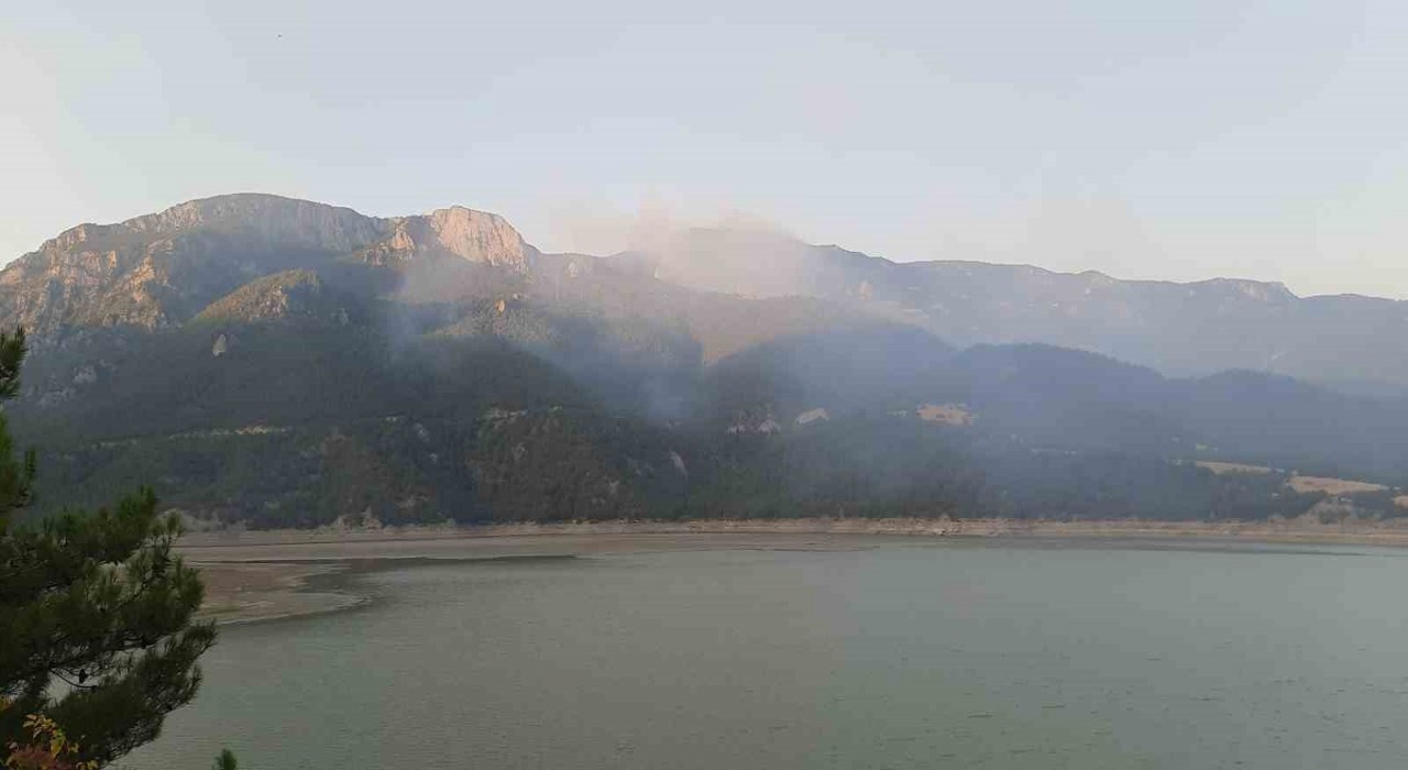 Sinoptaki orman yangınına havadan ve karadan müdahale sürüyor