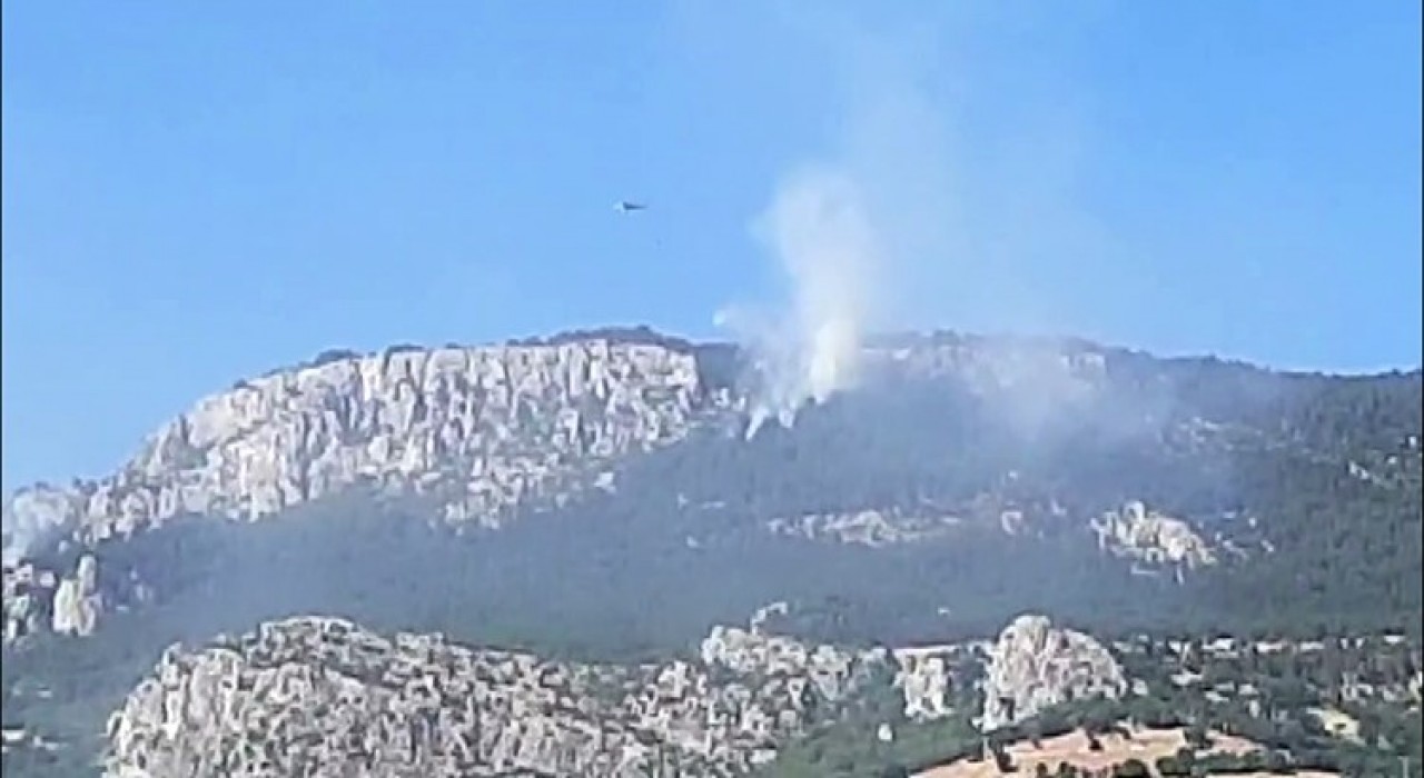 Sinoptaki orman yangınında soğutma çalışmaları devam ediyor
