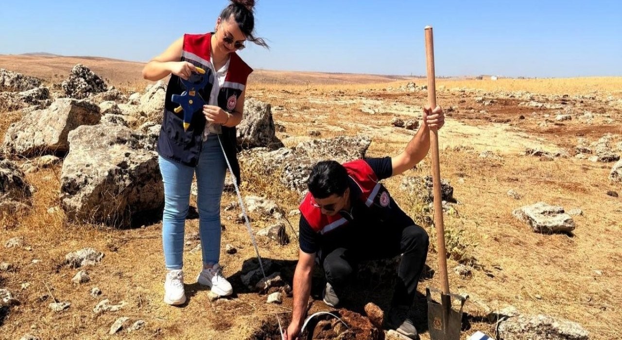 Şırnakta tarımsal üretime yön verecek etüt çalışmaları başladı