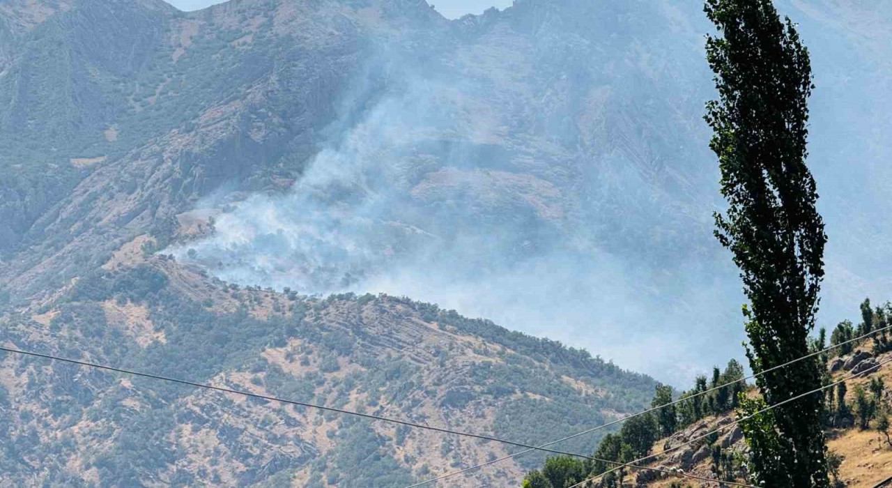 Şırnaktaki orman yangını 9 saatte kontrol altına alındı