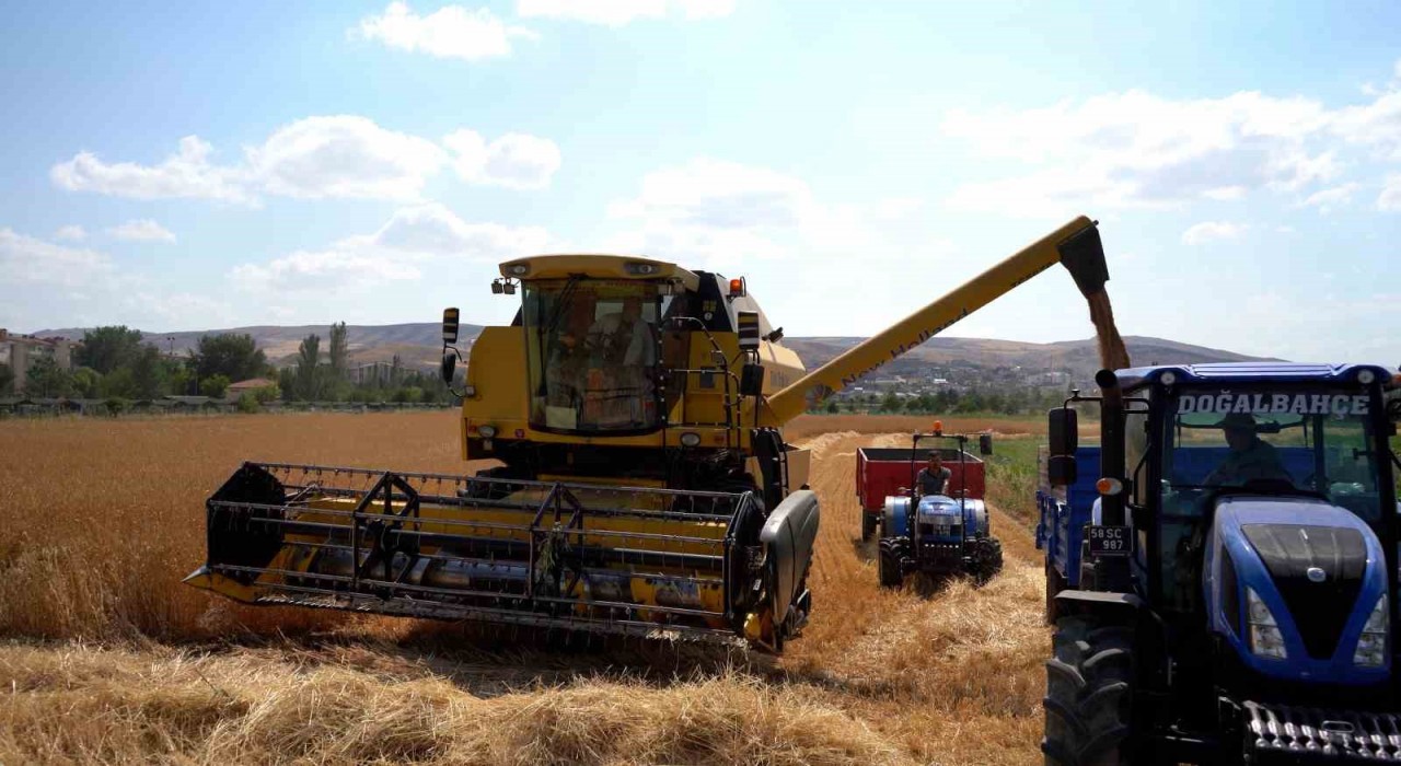 Sivas Cumhuriyet Üniversitesinde hasat bereketi başladı