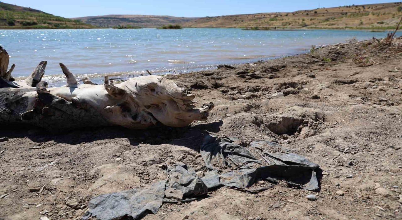 Sivasın önemli su kaynaklarında olan 4 Eylül barajında zemin görüntü