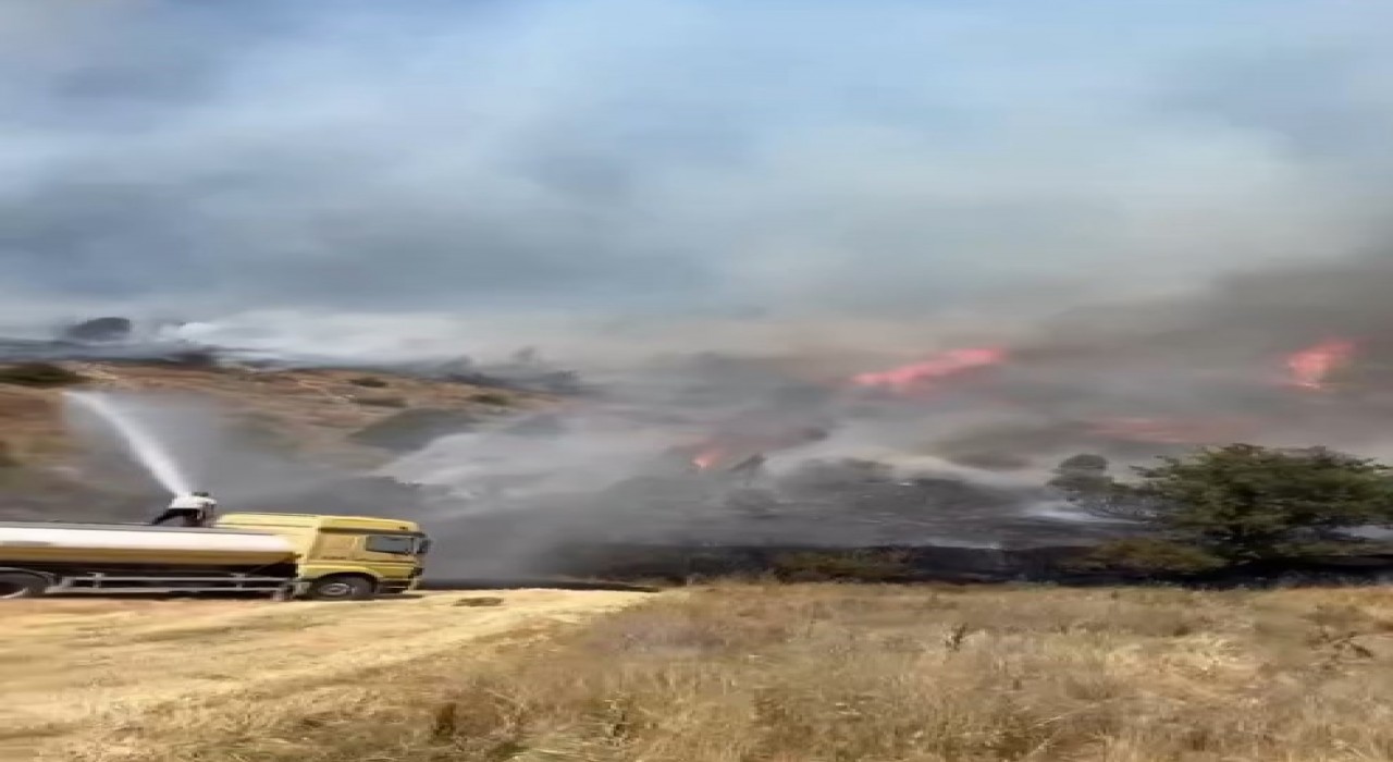 Sivasta ağaçlık alanda yangın çıktı, ekiplerin müdahalesi sürüyor